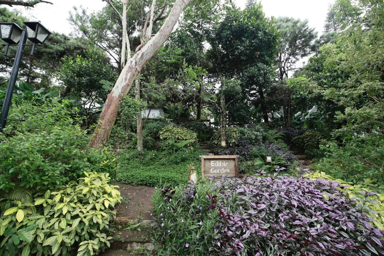 La Bella Boutique Hotel Tagaytay City Екстериор снимка